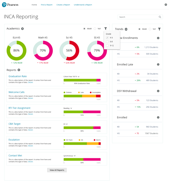 School Leader Reporting Design Screenshot